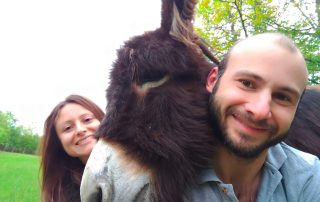 REfieNO, campo fieno naturale 06