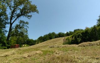 REfieNO, campo fieno naturale 08