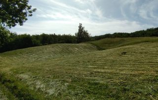 REfieNO, campo fieno naturale 09