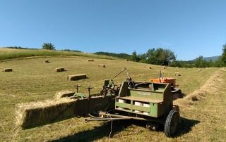 REfieNO, campo fieno naturale 12