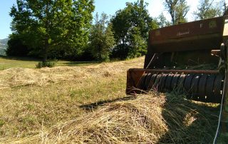 REfieNO, campo fieno naturale 13