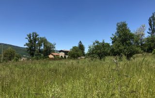 REfieNO, campo fieno di montagna 1