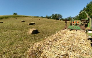 REfieNO, campo fieno di montagna 11