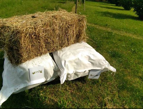 Le ballette di fieno sono ideali per gli animali